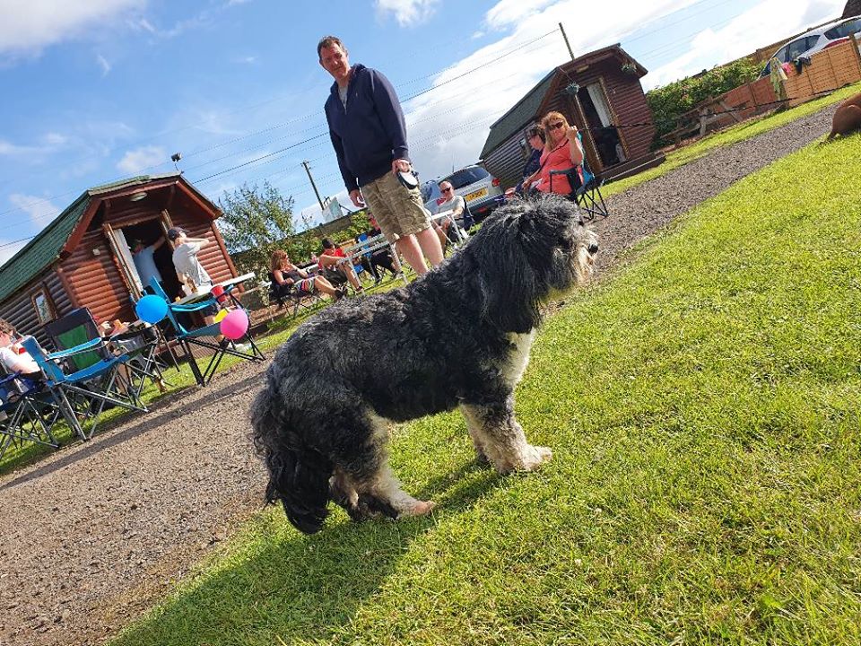 Dog Friendly