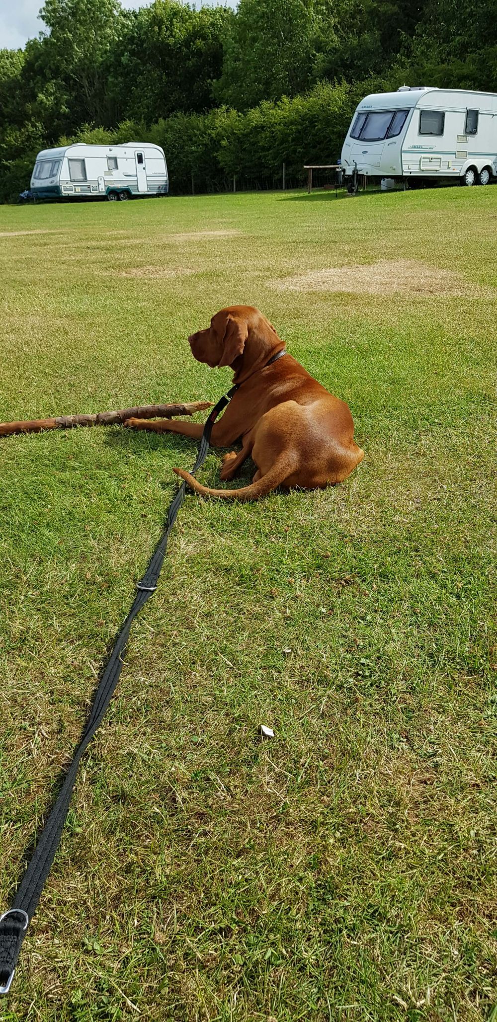 Just chillin' on my new spike.