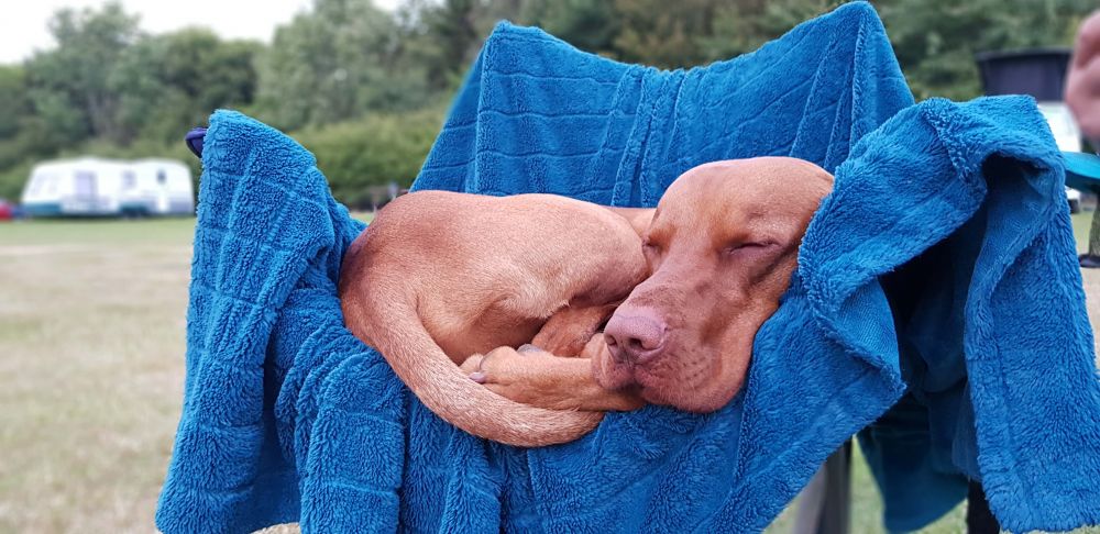 Time for a nap next to Mum