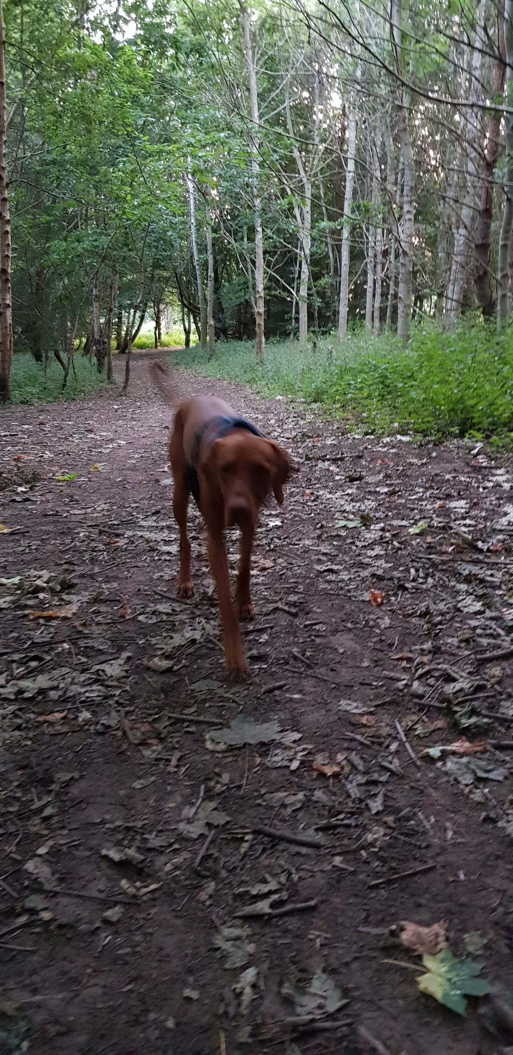 A late evening stroll | 11pm