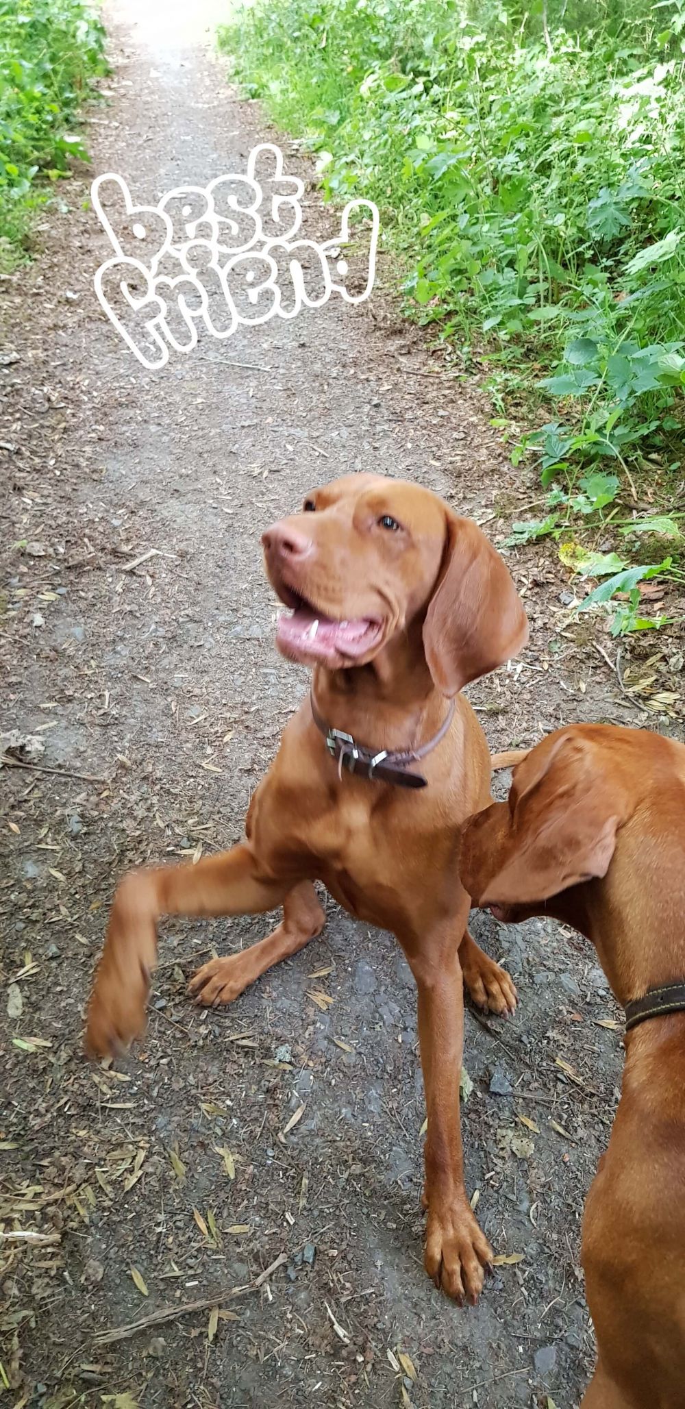 Ah - The lovely Mika. Gorge!