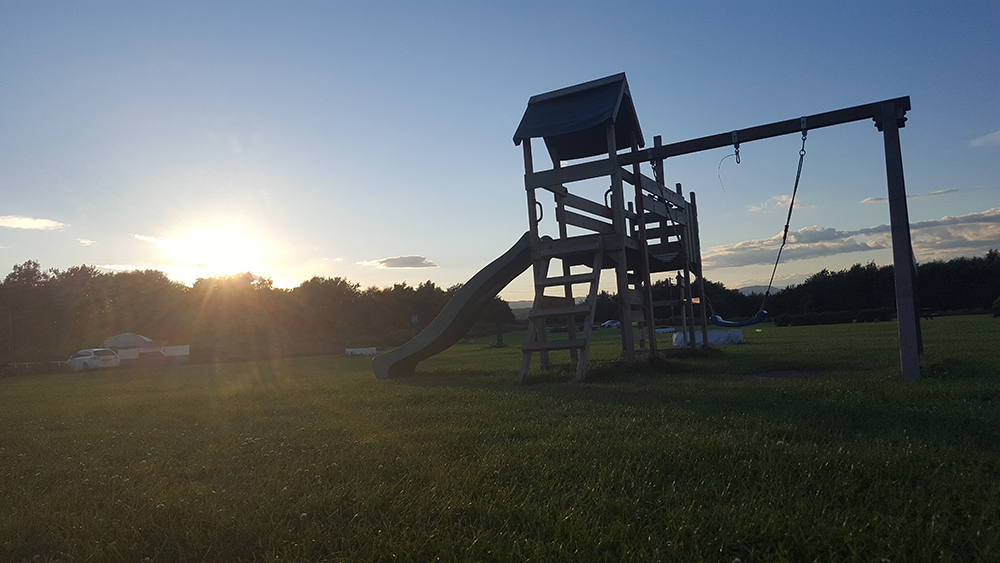 Lower Park Climb Frame